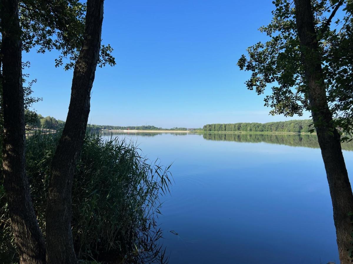 Family & Business Sauna Teznia No18 Lesny Nad Zalewem Cedzyna -1 Bedroom With Private Sauna, Bath With Hydromassage , Terrace, Parking, Catering Options Kielce